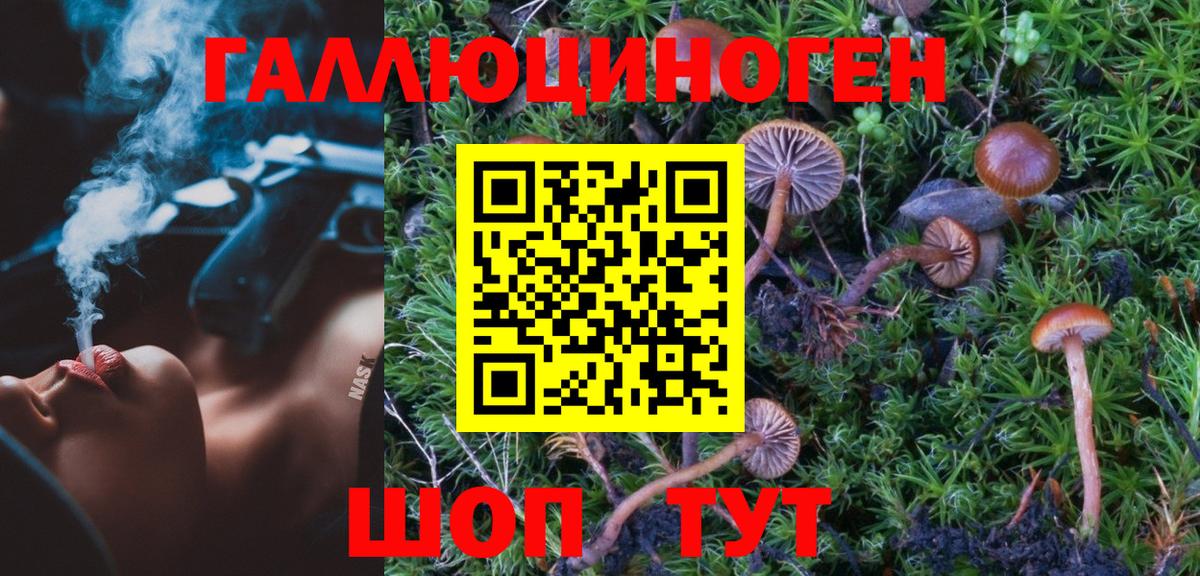 Галлюциногенные грибы мухоморы Заречный